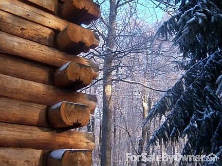 A look out toward the back woods