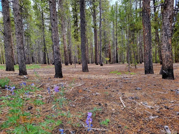 1099 County Road 4, Leadville, CO 80461