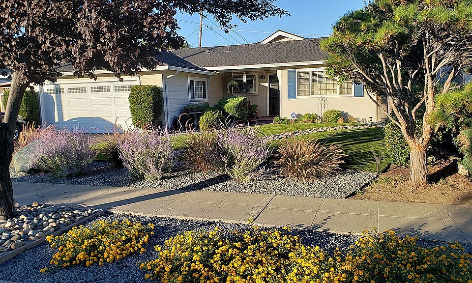 Frontyard