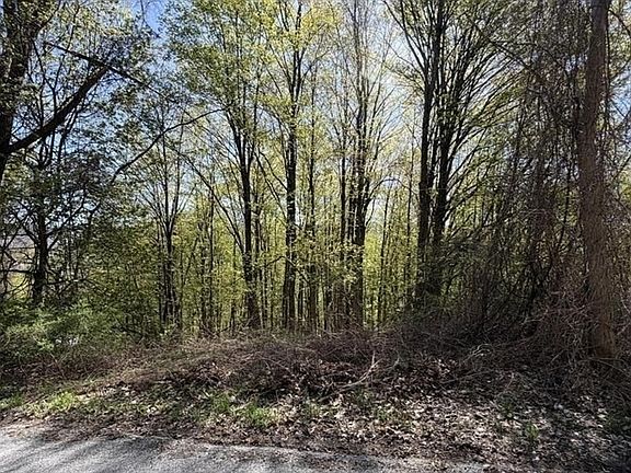 5th image of 2A-3A Reservoir Rd