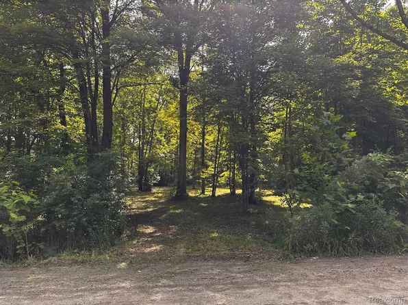 Vacant 0 Haggerty Rd, Belleville, MI 48111