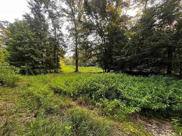 Nick Creek Rd, Bernice, LA 71222