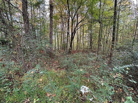 5th image of 0 Villa Rica Hwy #5 & 6