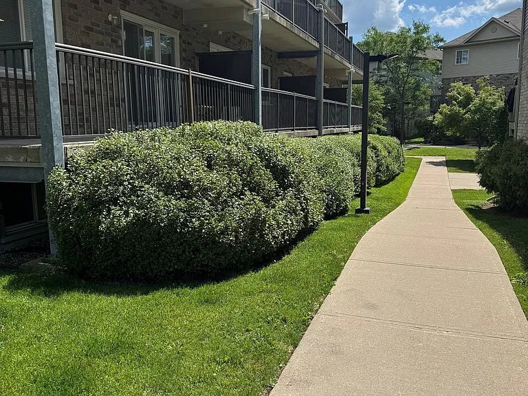 35 Mountford Dr #26 — Photo 18