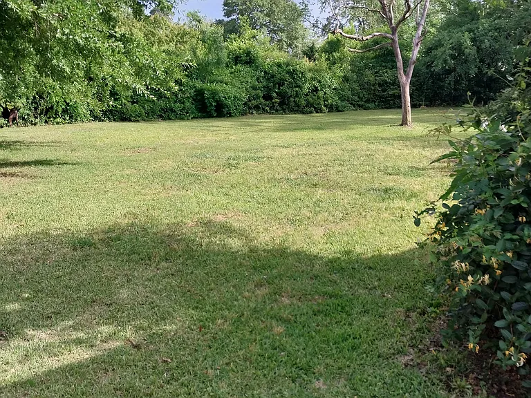 1705 Lincoln Rd — Photo 5