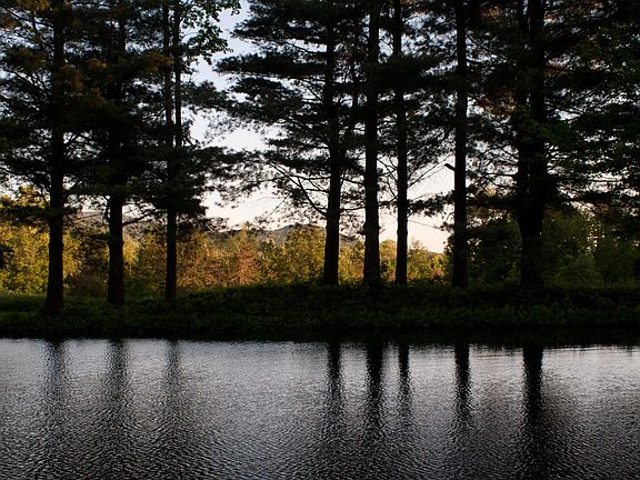 Pond looking toward the house