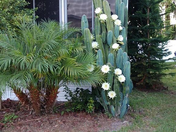 5th image of 2600 Harden Blvd Lot 190