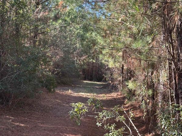 Bj Cook Rd, Red Level, AL 36474