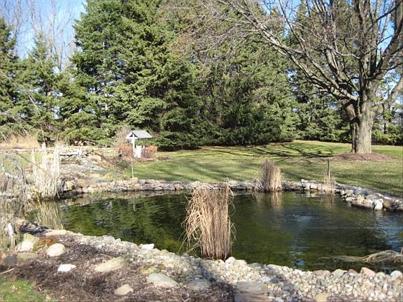 Pond