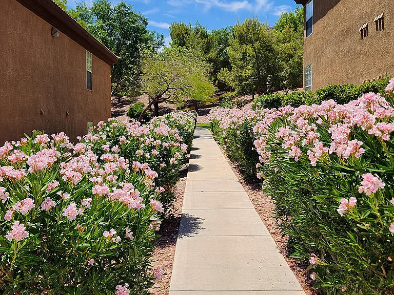 Walking Paths