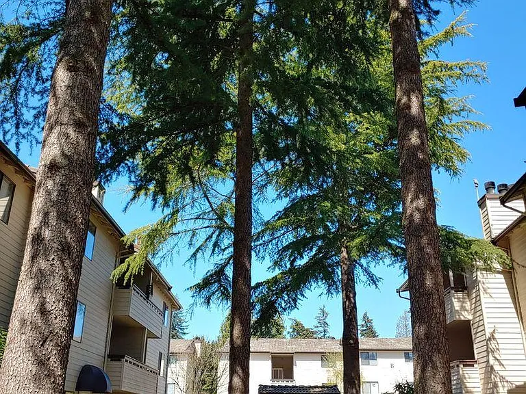 Jackson Greens Apartments — Photo 41