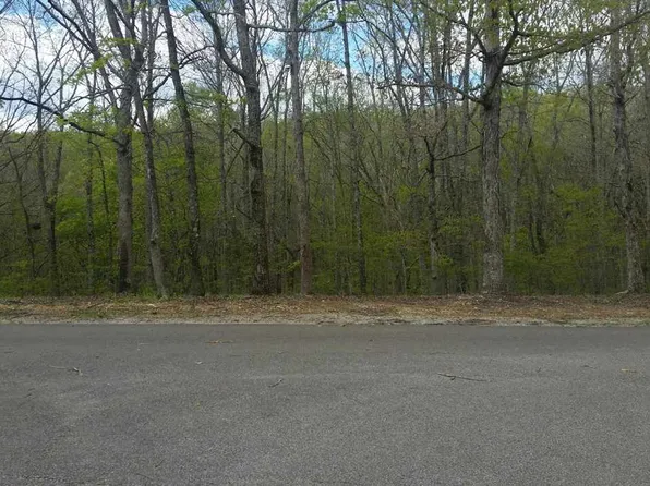 222 Brown Bluff Ln, Sugar Tree, TN 38380