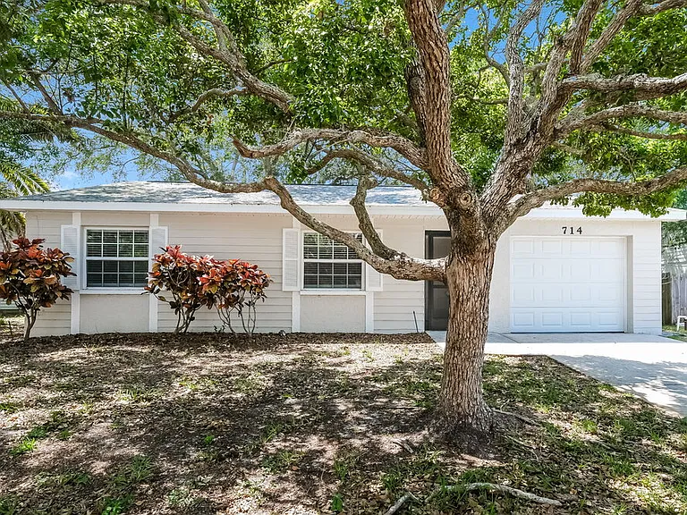 714 Crimson King Trce — Photo 1