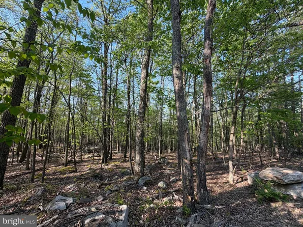 136 Spring Mountain Dr, Zion Grove, PA 17985