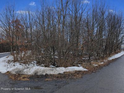 Winton St, Dunmore, PA, 18512