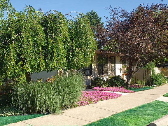 Beautiful Grounds