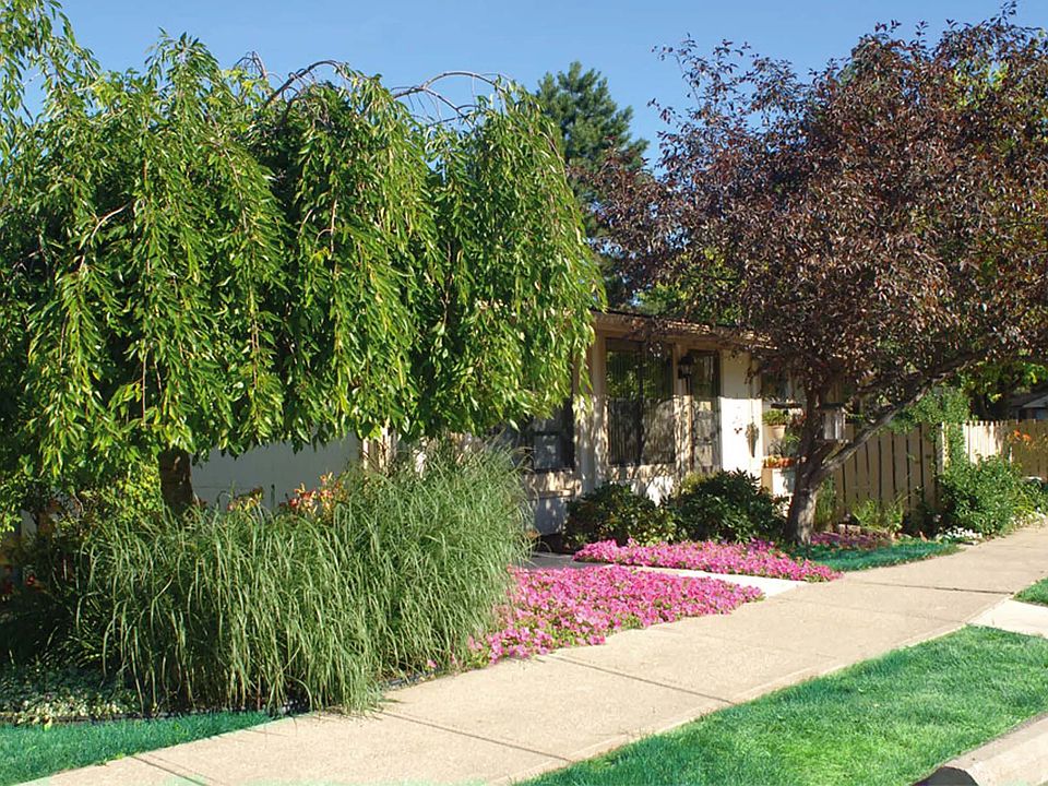 Beautiful Grounds