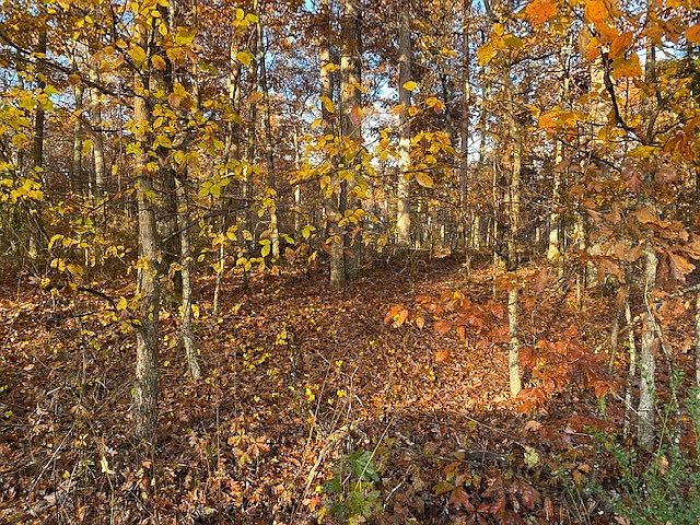 2nd image of 0 Tummins Rd