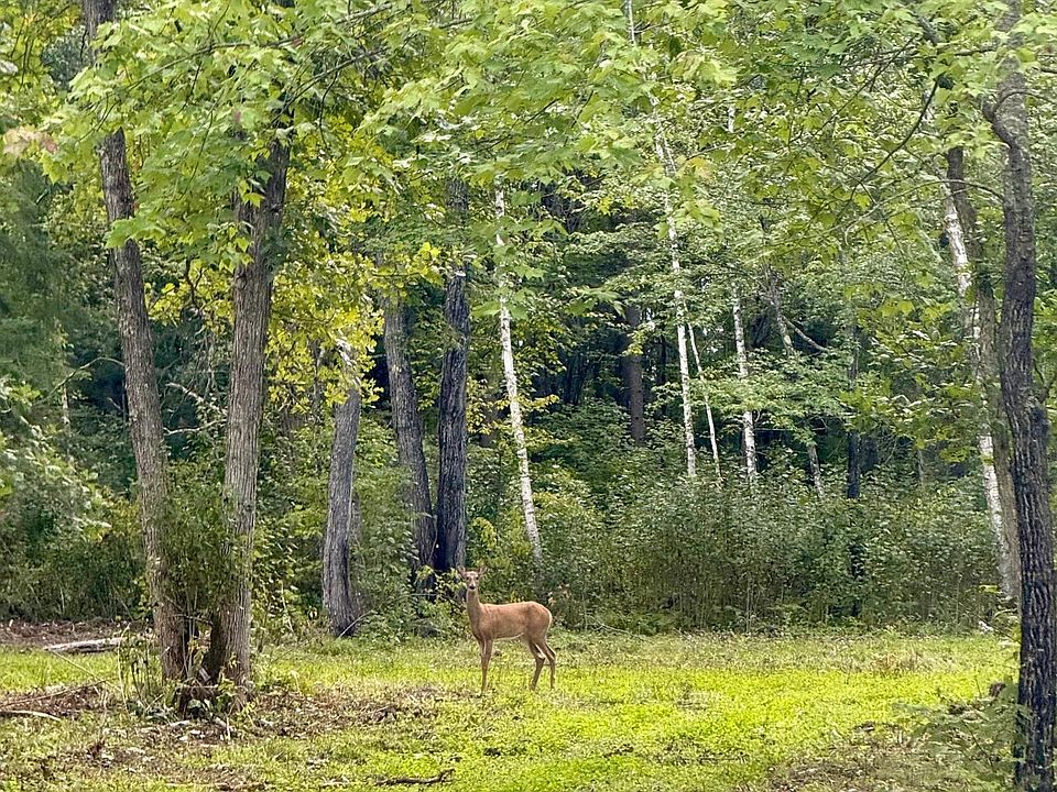 1st image of 56305 S Dora Lake Rd