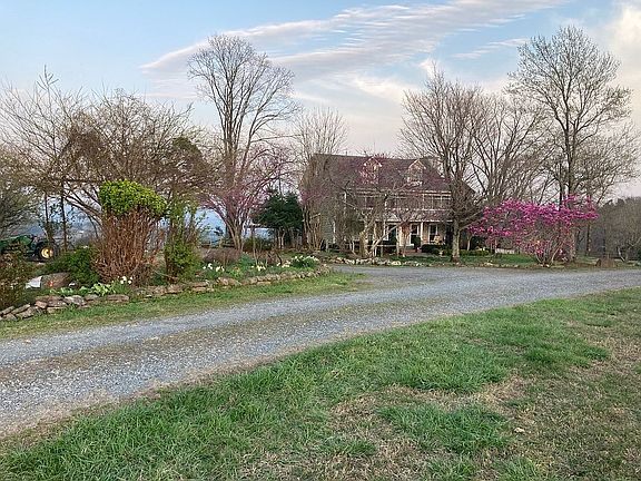 Lots of spring flowers