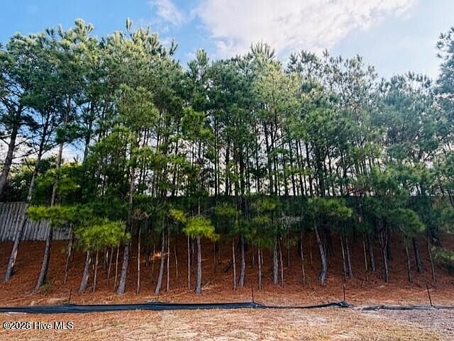 1st image of 2181 Palm Pointe NE #1