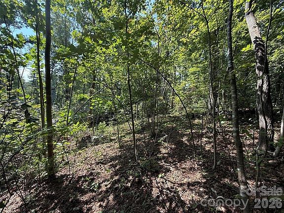 3rd image of 256 Burge Mountain Rd