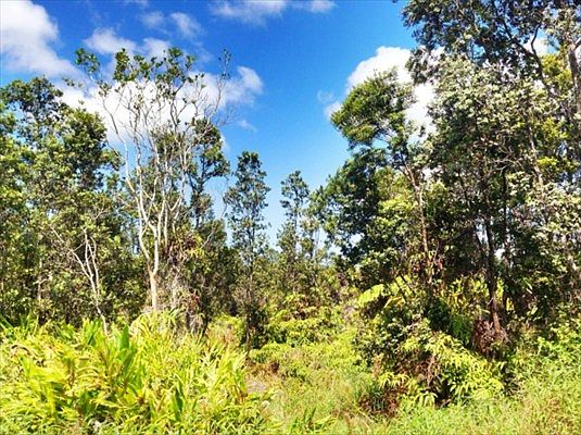 1st image of Ohialani Lot 81
