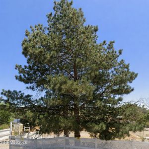 162 Huckleberry Way, Dayton, NV, 89403