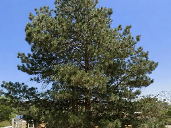 162 Huckleberry Way, Dayton, NV 89403