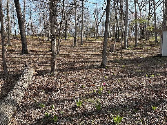 2nd image of LOT 61 Horseshoe Ln