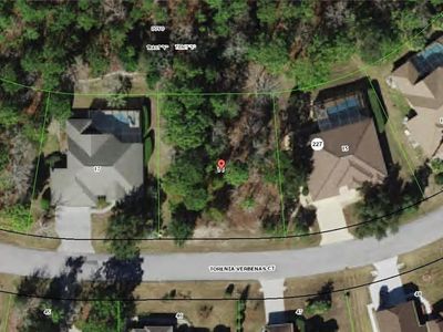 34 Torenia Verbenas Ct, Homosassa, FL, 34446