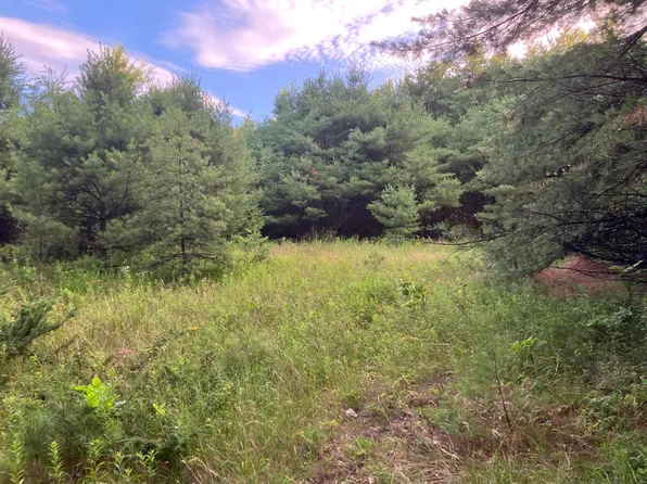 0 Isaac Stevens Road, Bridgton, ME 04009