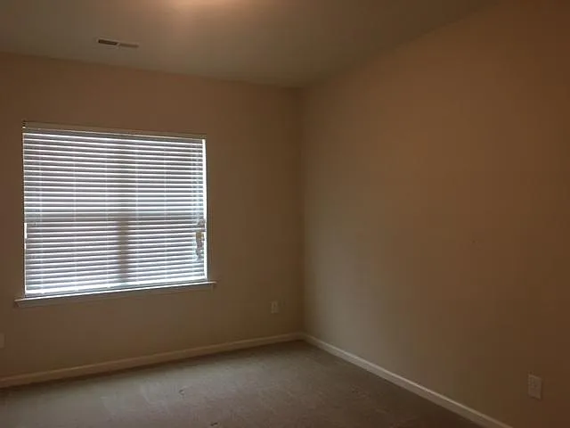 134 Zante Currant Rd — Photo 11