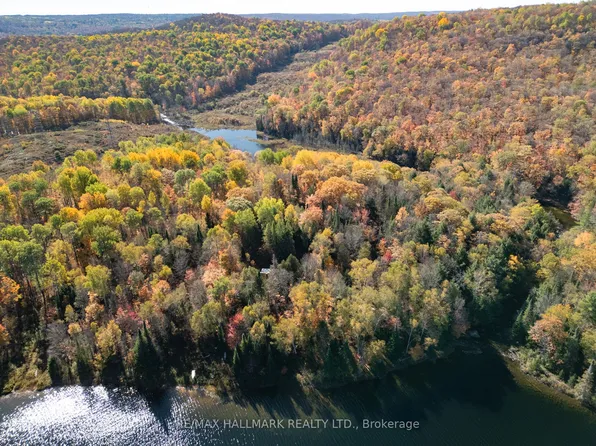 3517 Haliburton Lake Rd, Dysart Et Al, ON K0M 1S0