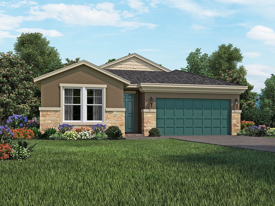 preliminary elevation D