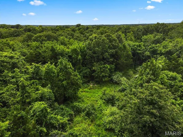 1185 Scheel Ln, Fenton, MO 63026