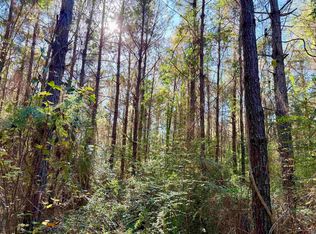 1 Bobcat Trl, Amite, LA 70422