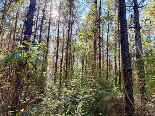 1 Bobcat Trl, Amite, LA 70422