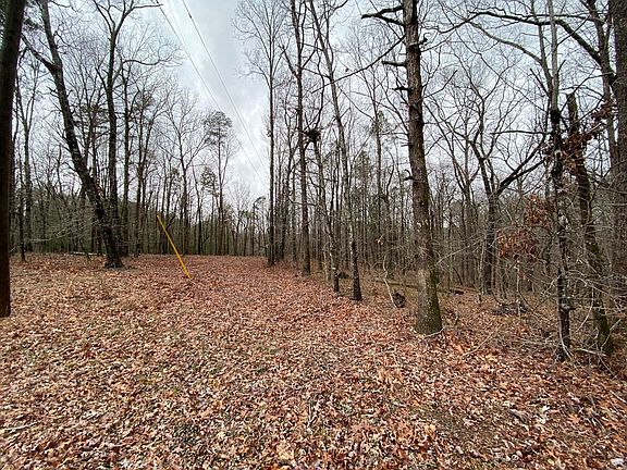 2nd image of 0 Punkintown Road -7.25 Acres