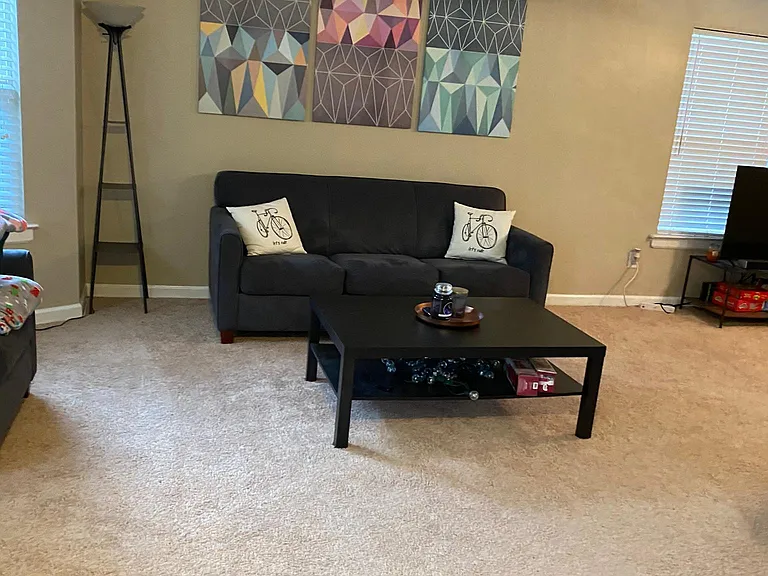 1307 Dance St — Photo 13