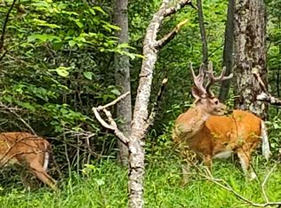 Lot 312 Wild Turkey Lot Way, Pocono Summit, PA 18346