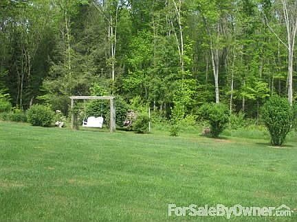 Backyard
						:
						View of the backyard