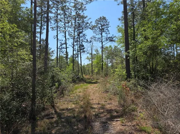 288-4 Oklahoma St Lot 4, Singer, LA 70660