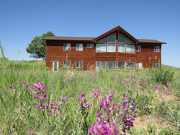 Rear of house in Spring