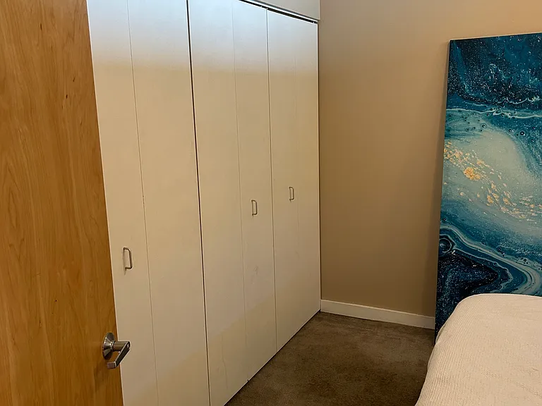 1720 S Michigan Ave #3207 — Photo 18