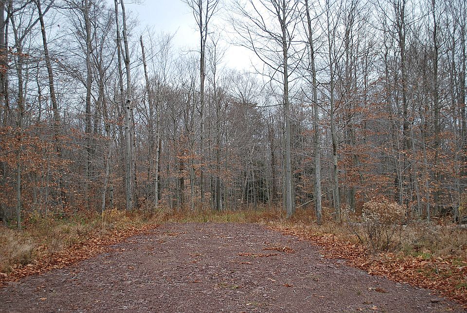 1st image of The Woods At Duck Hbr Lot 81