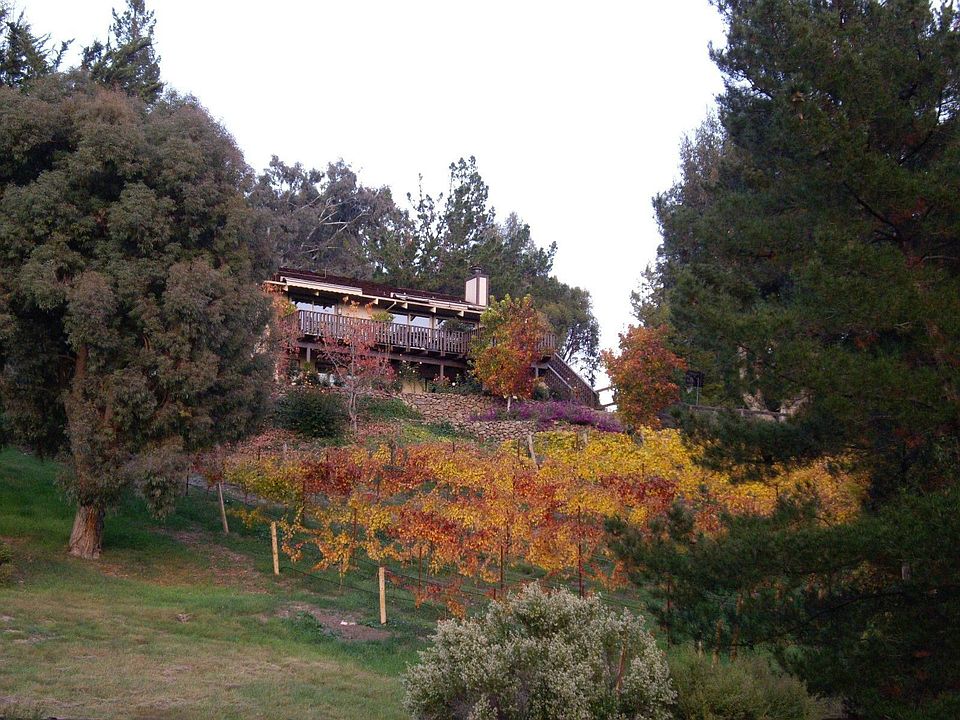 Vineyard