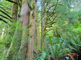 0 Bare Ln, Tillamook, OR 97141