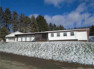 11 Holly Ter, Hornell, NY 14843