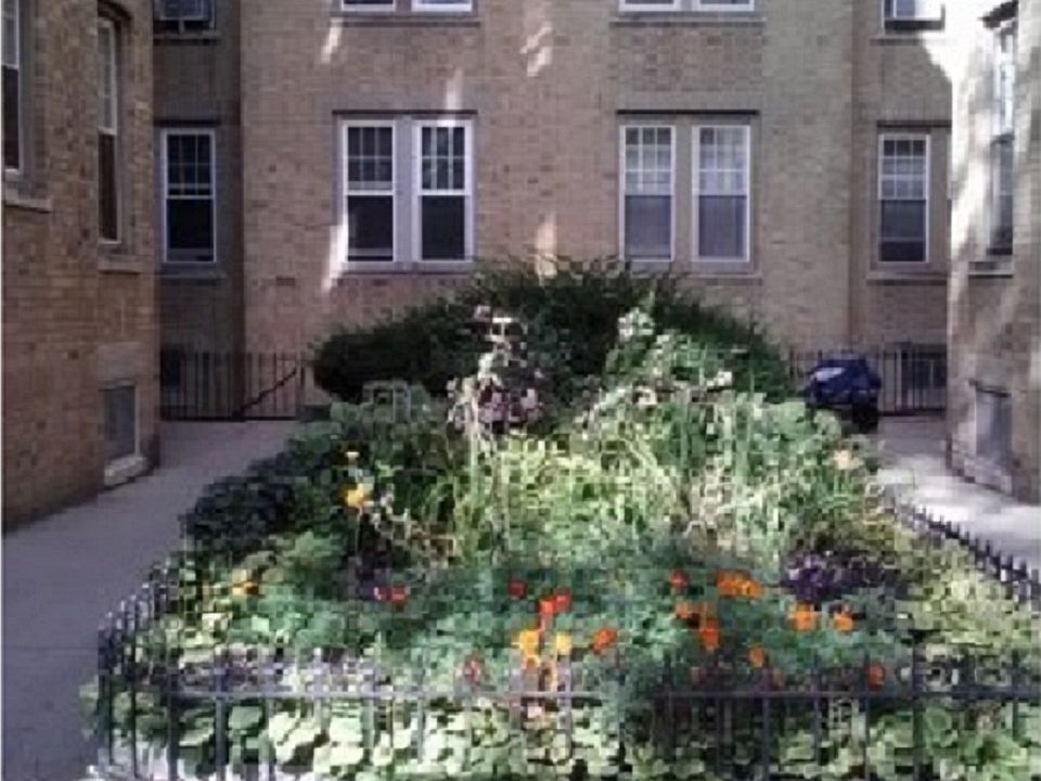 1st image of 549 41st St APT 1D